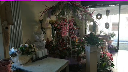 Fioreria Il Pensiero, Fiorista a Roè Volciano