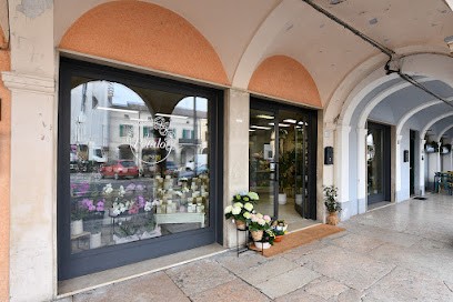 Il Petalo Creazioni Floreali, Fiorista a Gonzaga