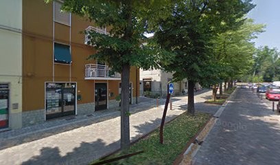 Idea Verde, Fiorista a San Giorgio Piacentino