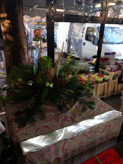 Piante Fiori Consegne A Domicilio, Fiorista a Torino