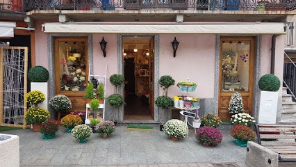 Evento Perfetto, Fiorista a Settimo Torinese