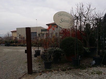 Floricoltura Salvadè, Fiorista a Montorfano