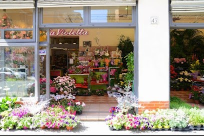 The Violetta Fiori, Fiorista a Roma