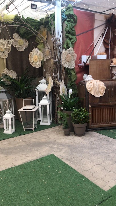 L'Ortoflora Versiliese Di Diridoni Daniele, Fiorista a Viareggio