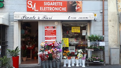 SVL Flower Shop, Fiorista a Livorno