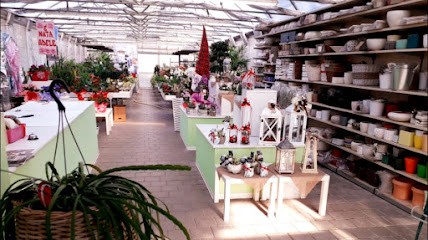 Fioreria Ferracin Ortofloricoltura, Fiorista a Castello di Godego