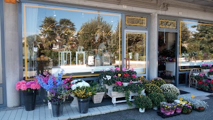 Fioreria L'Angolo Fiorito, Fiorista a San Biagio di Callalta