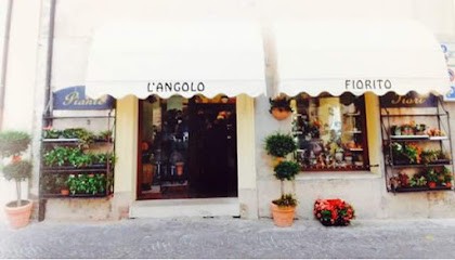 L'Angolo Fiorito Di Campagna Anna Maria, Fiorista a San Ginesio
