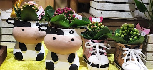 Fioreria Dalle Pezze Gabriella, Fiorista a Negrar