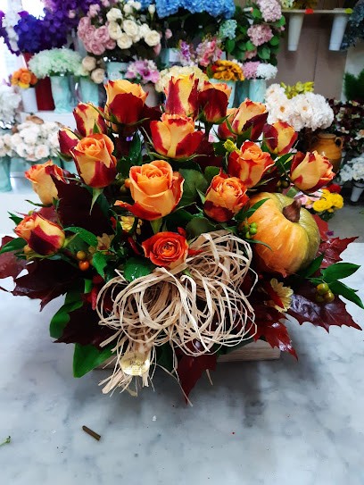 Fioreria Paola, Fiorista a Casal di Principe