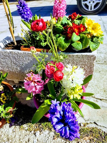 NaturAmica, Fiorista a Sigillo