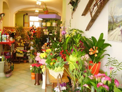 La Bottega Del Fiore Di Ravotti Zarina, Fiorista a Garessio