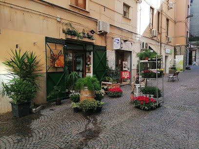 Fiorista Amarillos Fiori E Piante, Fiorista a Salerno