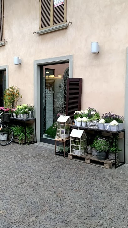Il Bocciolo, Fiorista a Treviglio