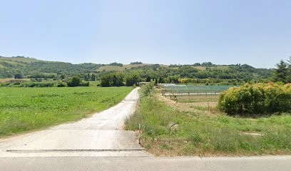 Florovivaistica Ripà, Fiorista a Montefiore dell'Aso