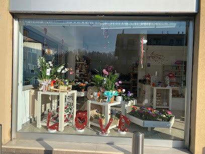 Il sogno fiorito di Volpi Debora, Fiorista a Carvico