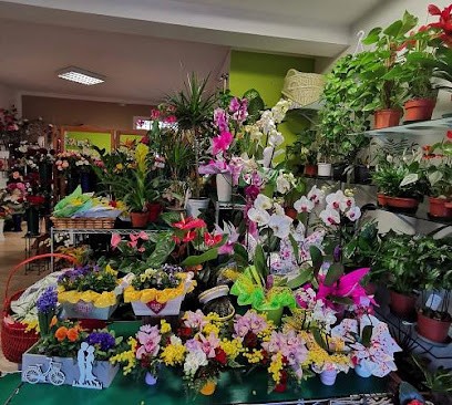 La Violetta Fiori E Piante Li Punti, Fiorista a Sassari