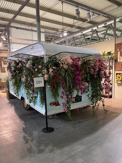 Il Chiosco Di Ely, Fiorista a Signa