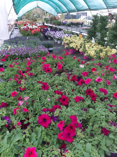 New Garden Fiori Azienda Agricola, Fiorista a Fossano