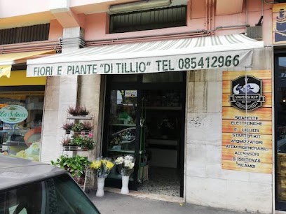 Fioraio Di Tillio Gina, Fiorista a Pescara