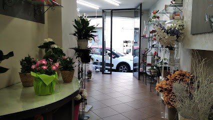 La Fioreria - Fiorista - Marina Laurenti, Fiorista a Stradella