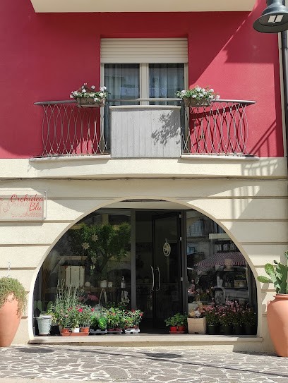 Orchidea Blu, Fiorista a Tolve