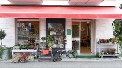 Clorofilla - Danilo Botta, Fiorista a Cuneo