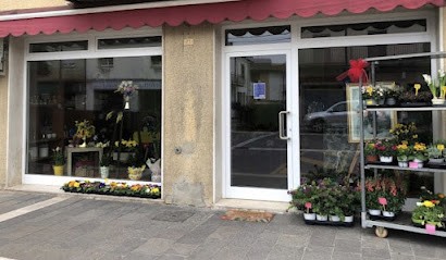 BF Fiorista Di Falconi Brenda, Fiorista a Mesola