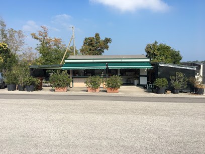 Chiosco Fioraio Cimitero Ulivo, Fiorista a Fano