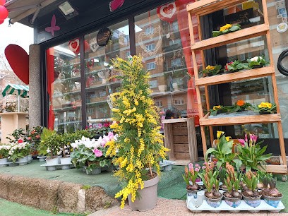 I Fiori Di Claudio, Fiorista a Roma