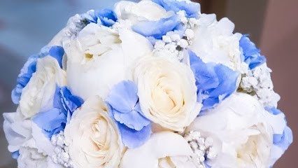 Palmagarden Ingenito maestri nell'arte floreale dal 1952, Fiorista a Arzano