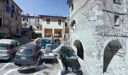 Bentivoglio Enzo, Fiorista a Tolfa