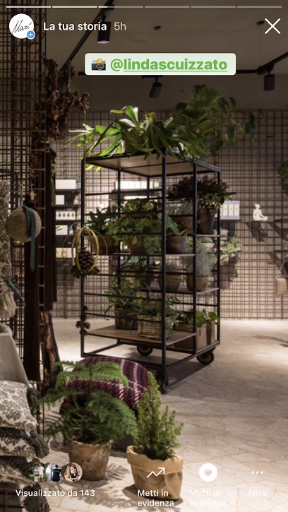 Marì Di Fistican Mariana, Fiorista a Schiavon