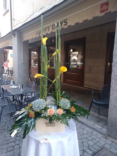 Balsamo Claudio Fantasia Di Fiori, Fiorista a San Damiano d'Asti