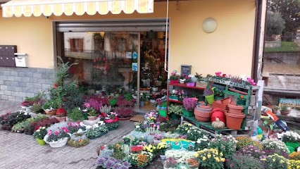 Fiorista Marina, Fiorista a Berzo Demo