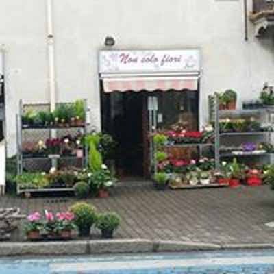 Non Solo Fiori, Fiorista a Varedo