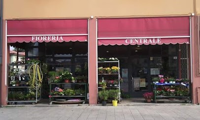 Fioreria Centrale s.n.c., Fiorista a Montecchio Maggiore