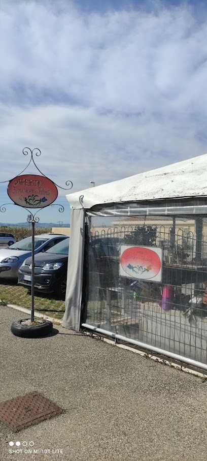 I fiori di Mary & Chiara, Fiorista a Cesena