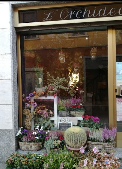 L'Orchidea, Fiorista a Miradolo Terme