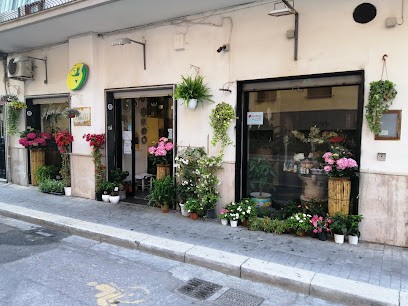 Il Fiore Di... Pinto Di Francesco Pinto, Fiorista a Torre Annunziata
