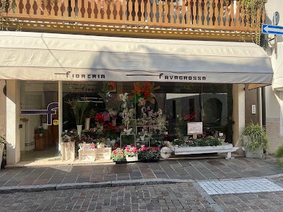 Favagrossa Alviero, Fiorista a Calvisano