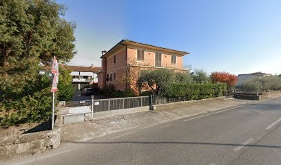 Sonnoli - Vendita E Produzione Olivi Piante E Fiori, Fiorista a Pescia