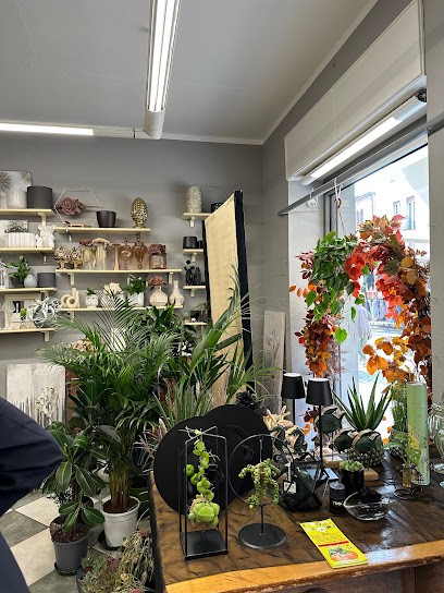 Fiorfiore S.n.c. Di Giacosa Giorgia E Bagnasco Loredana Fiorista, Fiorista a Millesimo