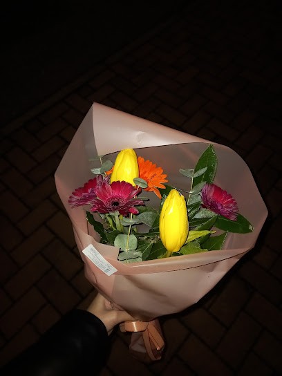 Alessandro Fiori SNC, Fiorista a Novara