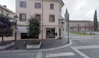Fioreria Alle Camelie Di Carrer Graziana, Fiorista a Meduna di Livenza
