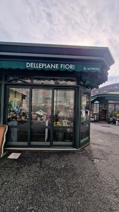 Dellepiane Fiori, Fiorista a Genova