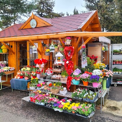 I Fiori Di Ameral, Fiorista a Verona