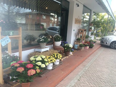 BOTANIK, Fiorista a Castelfranco Veneto