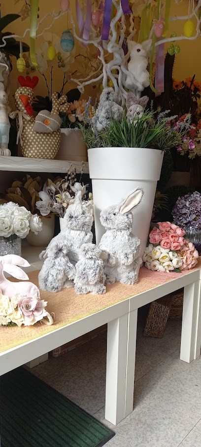 Chiuso, Fiorista a Frosinone