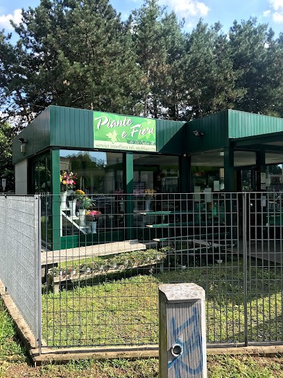 Di Salvo Donio Massimo, Fiorista a Cusano Milanino